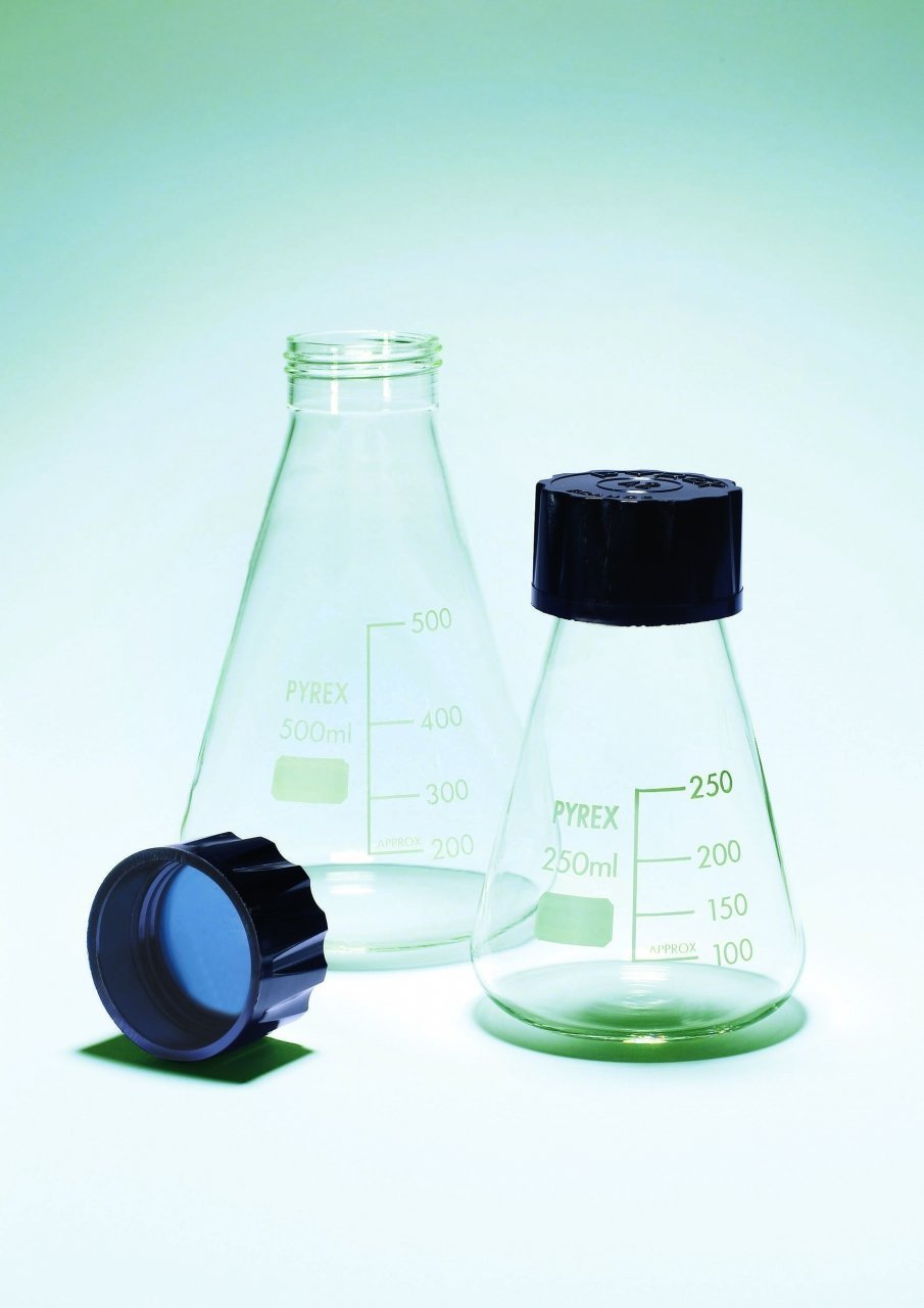 Conical Flasks, with Screw Cap