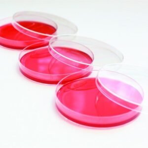 Disposable Petri Dishes - With lids