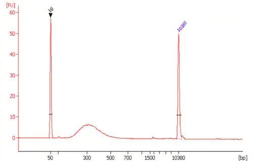High-Sensitivity DNA Library Preparation Kit (For Illumina®)