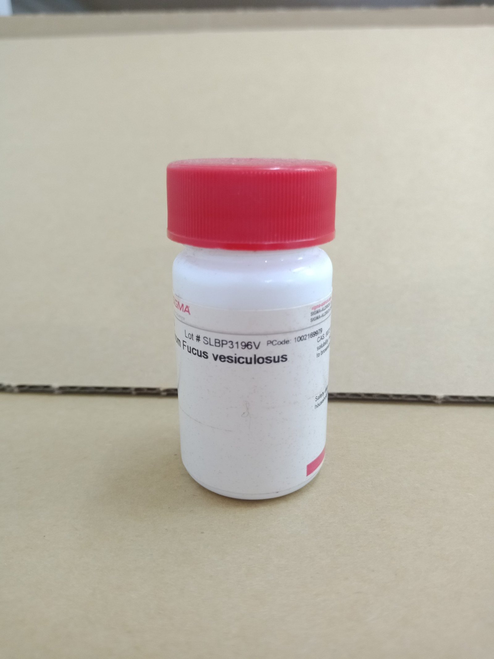 Fucoidan from Fucus vesiculosus - Image 2
