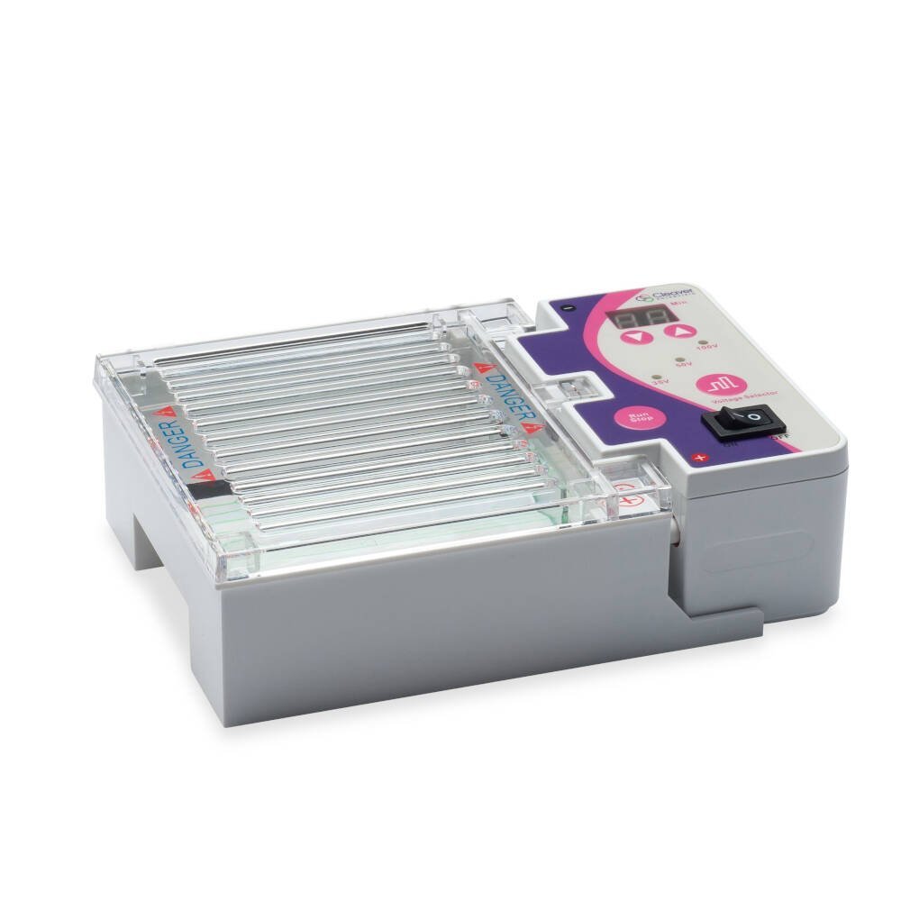 DNA Gel Electrophoresis | Horizontal gel systems - Image 3