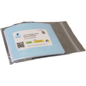Low Fluorescence Western Membrane (PVDF)