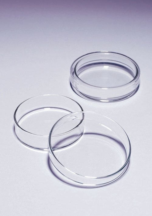 Petri Dishes, Borosilicate Glass
