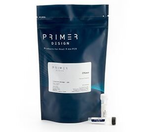 Precision DNase Kits - 50 reactions