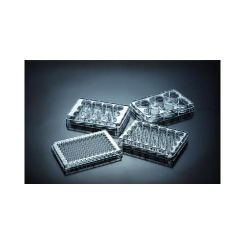 Tissue Culture Plates