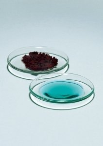 Watch Glass, Borosilicate Glass