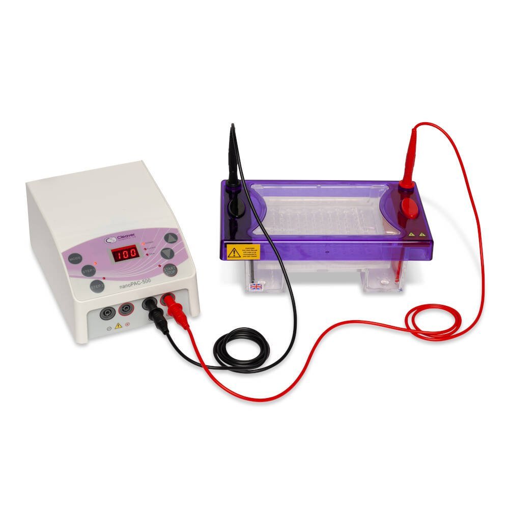 DNA Gel Electrophoresis | Horizontal gel systems - Image 2