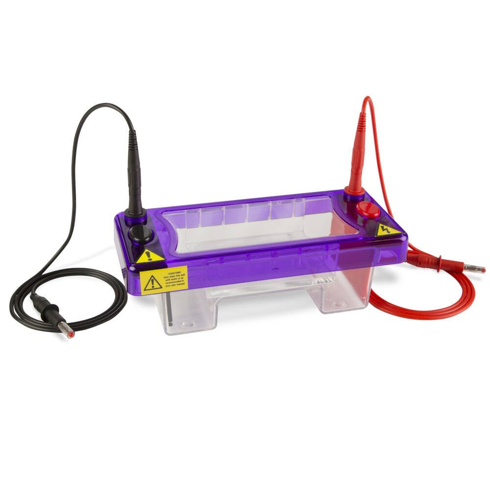 DNA Gel Electrophoresis | Horizontal gel systems